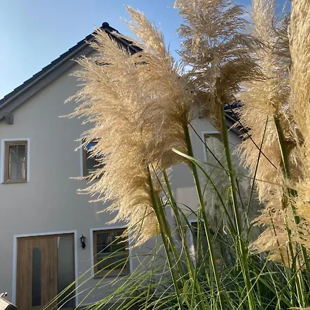 Kapitaenshaus Mit Sauna Und Kamin * Sellin (Rugen)