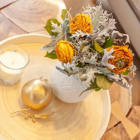 Kapitaenshaus Mit Sauna Und Kamin Hébergement de vacances *