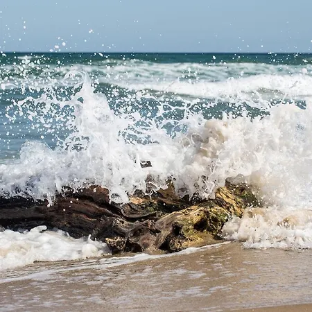 Hébergement de vacances Kapitaenshaus Mit Sauna Und Kamin Sellin (Rugen)