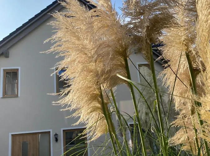 Kapitaenshaus Mit Sauna Und Kamin * ゼリン